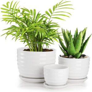 Decorative Ceramic Plant Pot