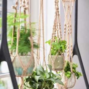 Hanging Macrame Plant Holder