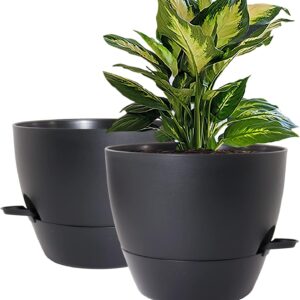 Self-Watering Plant Pot