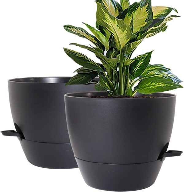 Self-Watering Plant Pot